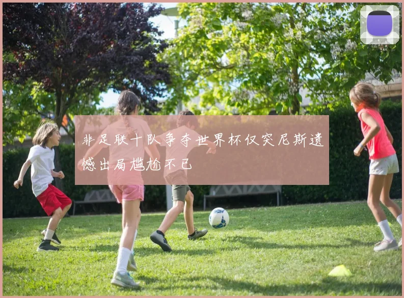 非足联十队争夺世界杯仅突尼斯遗憾出局尴尬不已