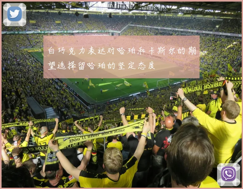 白巧克力表达对哈珀和卡斯尔的期望选择留哈珀的坚定态度